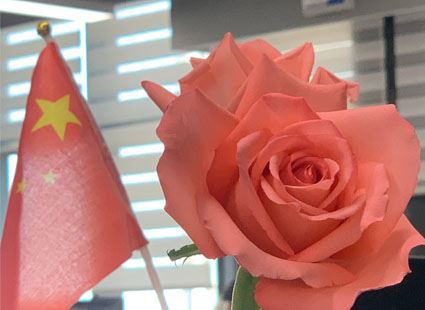 Srečen 8. marec dan žena